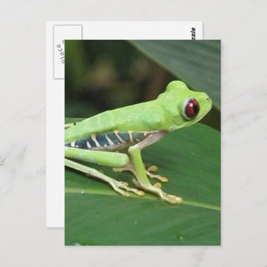 はがき垂直テンプレート- カスタマイズ ポストカード (正面/裏面)