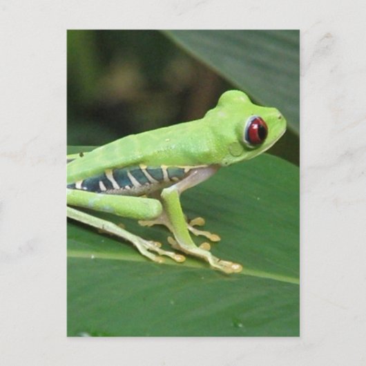 はがき垂直テンプレート- カスタマイズ ポストカード (正面)