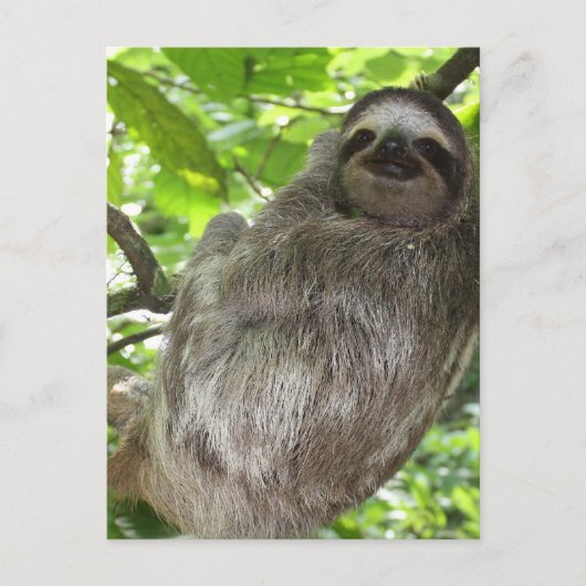 はがき垂直テンプレート- カスタマイズ ポストカード (正面)