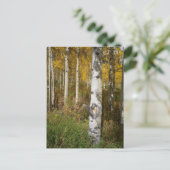 はがき感動的 ポストカード (スタンド正面)