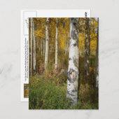 はがき感動的 ポストカード (正面/裏面)