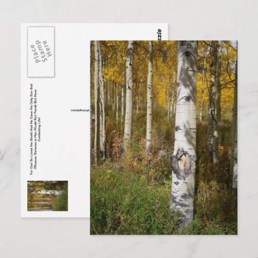 はがき感動的 ポストカード (正面/裏面)