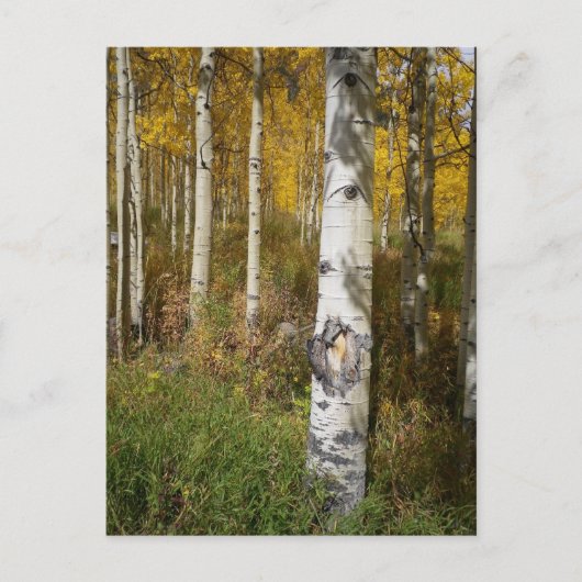 はがき感動的 ポストカード (正面)