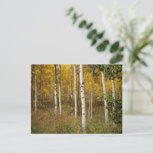 はがき感動的 ポストカード (スタンド正面)