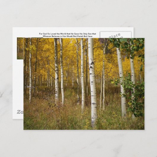 はがき感動的 ポストカード (正面/裏面)