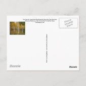 はがき感動的 ポストカード (裏面)