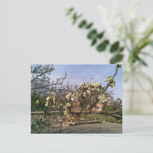 はがき春 ポストカード (スタンド正面)