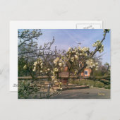 はがき春 ポストカード (正面/裏面)