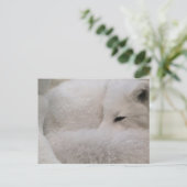 はがき水平テンプレート- カスタマイズ ポストカード (スタンド正面)