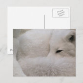 はがき水平テンプレート- カスタマイズ ポストカード (正面/裏面)