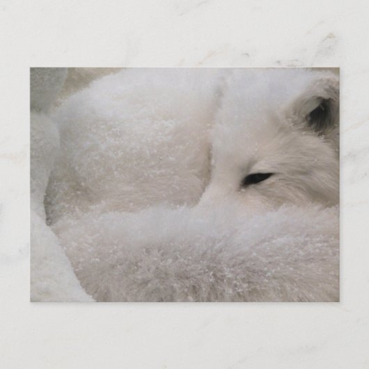 はがき水平テンプレート- カスタマイズ ポストカード (正面)