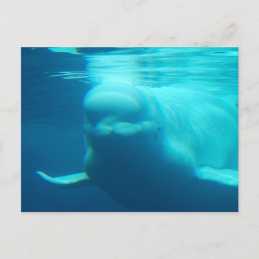 はがき水平テンプレート- カスタマイズ ポストカード (正面)