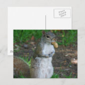 はがき水平テンプレート- カスタマイズ ポストカード (正面/裏面)