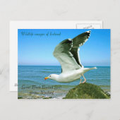 はがき用の野生動物の画像 ポストカード (正面/裏面)