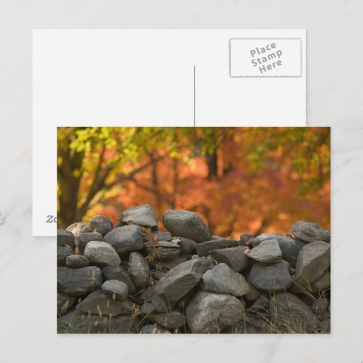 はがき石壁 ポストカード (正面/裏面)