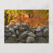 はがき石壁 ポストカード (正面)