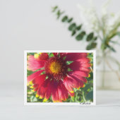 はがき秋花 ポストカード (スタンド正面)