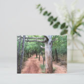 はがき自然出入口とトレイル ポストカード (スタンド正面)