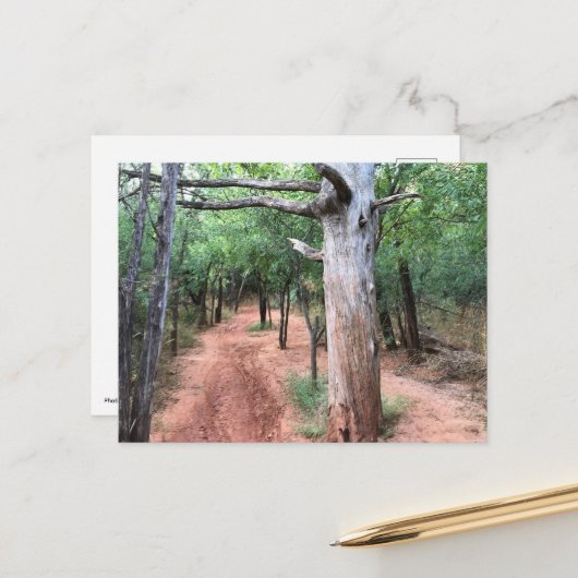 はがき自然出入口とトレイル ポストカード (正面/裏面インサイチュ)