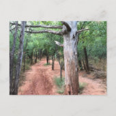 はがき自然出入口とトレイル ポストカード (正面)