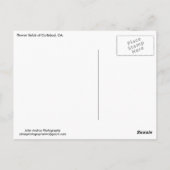 はがき花フィールドCarlsbad, CA ポストカード (裏面)