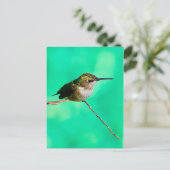 はがき蜂蜜 ポストカード (スタンド正面)