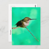 はがき蜂蜜 ポストカード (正面/裏面)