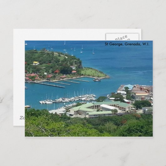 はがき (正面/裏面)