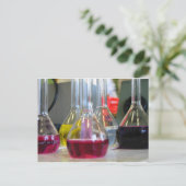 はがき (スタンド正面)