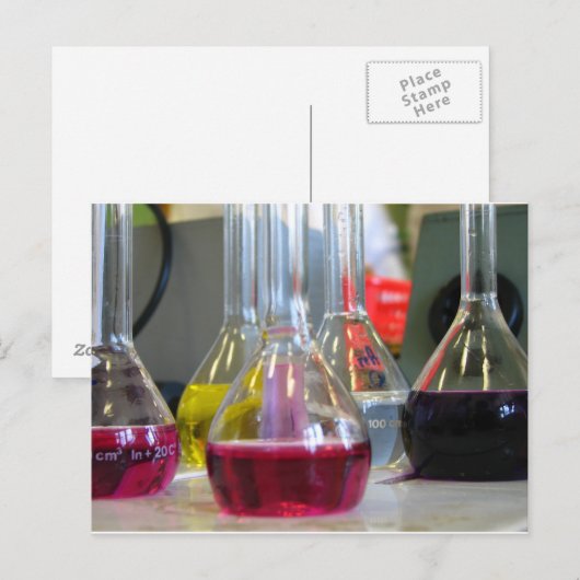 はがき (正面/裏面)