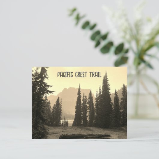 はがき (スタンド正面)