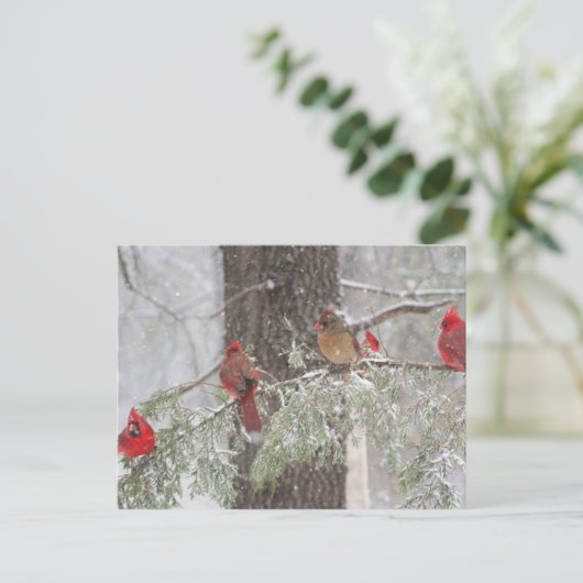 はがき (スタンド正面)