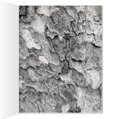 はがき (内側(右))