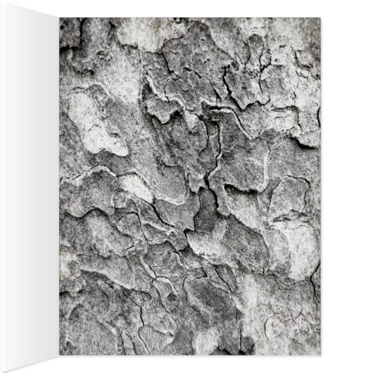 はがき (内側(右))