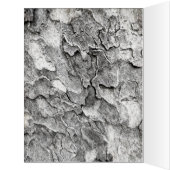 はがき (内側(左))