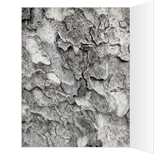 はがき (内側(左))