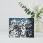 はがき (スタンド正面)