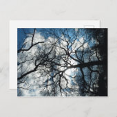 はがき (正面/裏面)