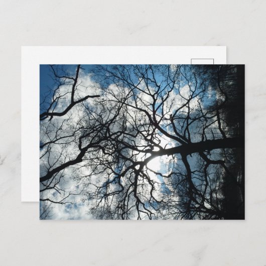 はがき (正面/裏面)