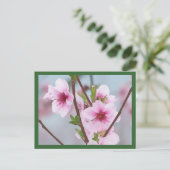 はがき (スタンド正面)