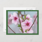 はがき (正面/裏面)