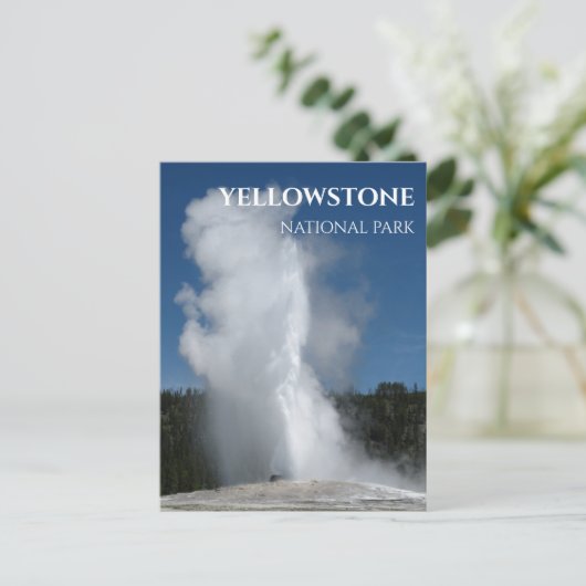 はがき (スタンド正面)