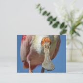 はがき (スタンド正面)