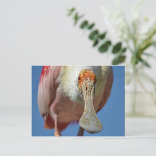 はがき (スタンド正面)