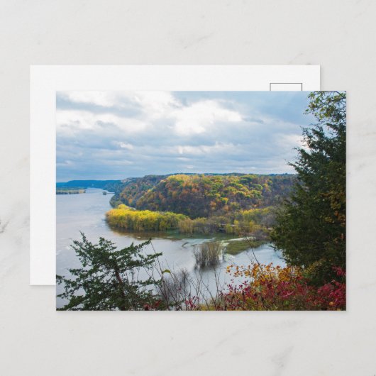 はがき (正面/裏面)