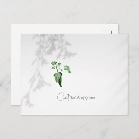 はがき (正面/裏面)