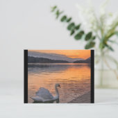 はがき (スタンド正面)