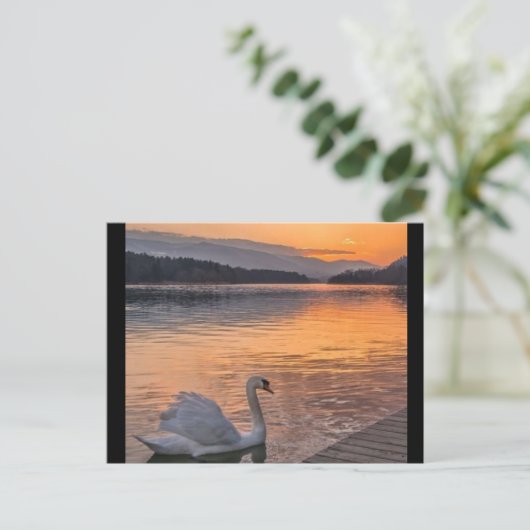 はがき (スタンド正面)