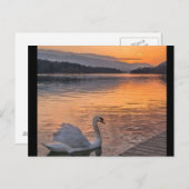 はがき (正面/裏面)