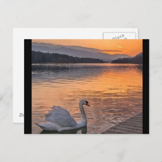 はがき (正面/裏面)